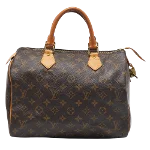 Brown Canvas Louis Vuitton Speedy