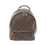 Brown Canvas Louis Vuitton Palm Springs