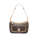 Brown Canvas Louis Vuitton Tikal