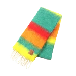 Multicolor Wool Loewe Scarf