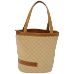 Beige Canvas Celine Triomphe