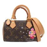 Brown Canvas Louis Vuitton Speedy