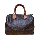 Brown Canvas Louis Vuitton Speedy