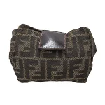 Brown Canvas Fendi Vanity Bag