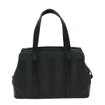 Black Canvas Fendi Handbag