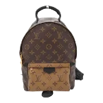 Brown Canvas Louis Vuitton Palm Springs