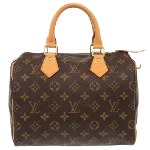 Brown Canvas Louis Vuitton Speedy