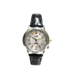 Silver Glass Citizen Watch