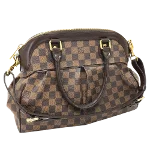 Brown Cotton Louis Vuitton Trevi