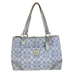 Blue Canvas Coach Tote