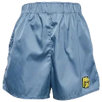 Blue Nylon Prada Shorts