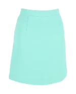 Blue Polyester Alexander McQueen Skirt