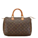 Brown Plastic Louis Vuitton Handbag