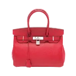 Red Leather Hermès Birkin