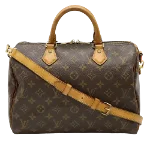 Brown Canvas Louis Vuitton Speedy