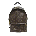 Brown Canvas Louis Vuitton Palm Springs