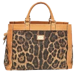 Brown Canvas Dolce & Gabbana Handbag