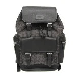 Grey Leather Coach Backpack