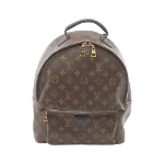 Brown Canvas Louis Vuitton Palm Springs