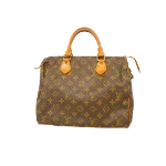 Brown Canvas Louis Vuitton Speedy