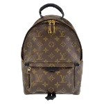 Brown Canvas Louis Vuitton Palm Springs