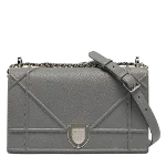 Grey Leather Dior Crossbody Bag