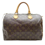 Brown Canvas Louis Vuitton Speedy