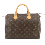 Brown Canvas Louis Vuitton Speedy