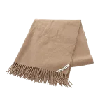 Brown Canvas Acne Studios Scarf