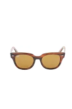 Brown Plastic Ray-Ban Sunglasses
