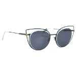 Blue Plastic Fendi Sunglasses