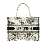 White Canvas Dior Book Tote