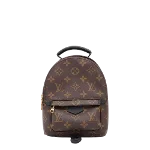 Brown Canvas Louis Vuitton Palm Springs