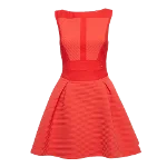 Red Fabric Elisabetta Franchi Dress