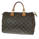 Brown Canvas Louis Vuitton Speedy