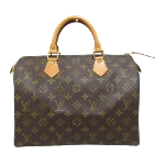 Brown Canvas Louis Vuitton Speedy