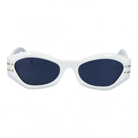 Blue Plastic Dior Sunglasses