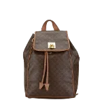 Brown Leather Celine Backpack