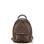 Brown Canvas Louis Vuitton Palm Springs