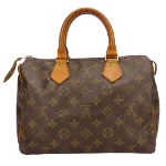 Brown Canvas Louis Vuitton Speedy