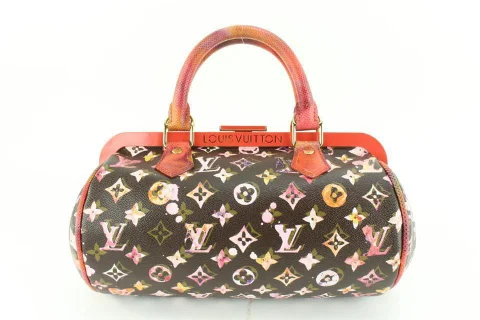 Multicolor Canvas Louis Vuitton Handbag
