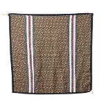 Brown Silk Burberry Scarf