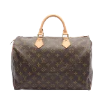 Brown Canvas Louis Vuitton Speedy