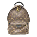 Brown Canvas Louis Vuitton Palm Springs