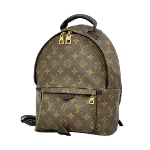 Brown Canvas Louis Vuitton Palm Springs