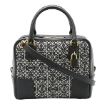 Black Canvas Loewe Amazona