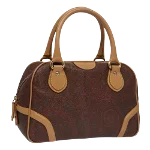 Brown Leather Etro Handbag