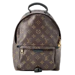 Brown Canvas Louis Vuitton Palm Springs