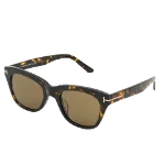 Brown Glass Tom Ford Sunglasses