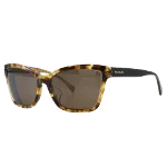 Brown Plastic Coach Sunglasses